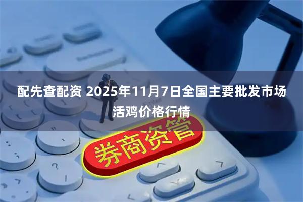 配先查配资 2025年11月7日全国主要批发市场活鸡价格行情