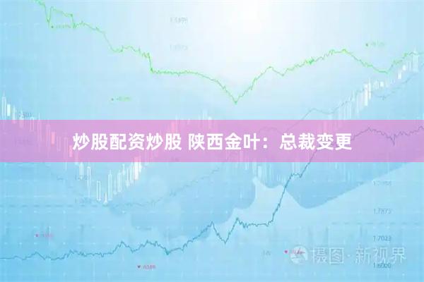 炒股配资炒股 陕西金叶：总裁变更