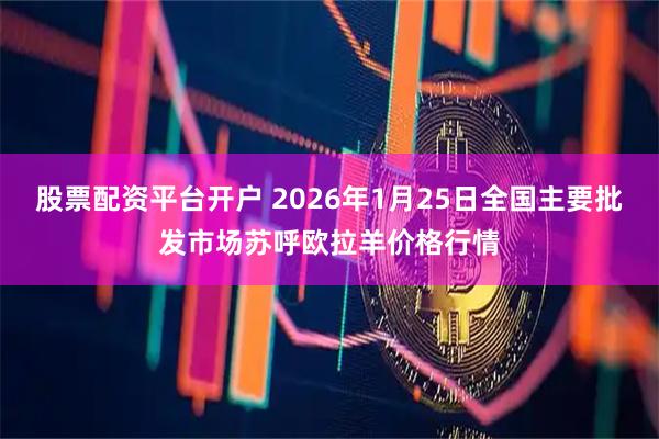 股票配资平台开户 2026年1月25日全国主要批发市场苏呼欧拉羊价格行情