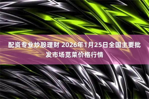 配资专业炒股理财 2026年1月25日全国主要批发市场苋菜价格行情