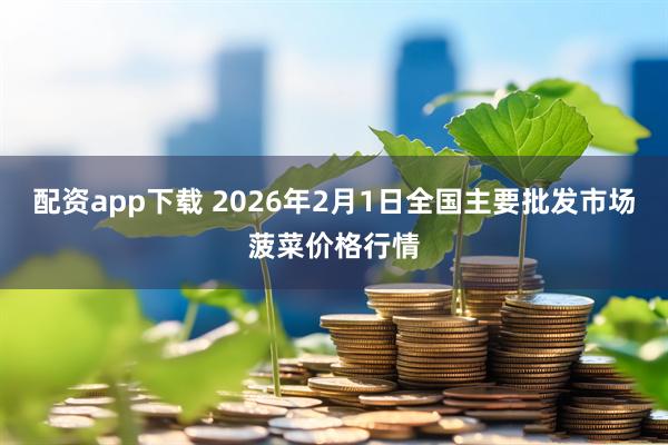 配资app下载 2026年2月1日全国主要批发市场菠菜价格行情